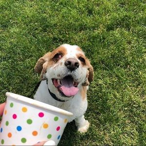 Meet your Posher, Kylie